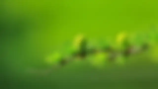 wallpaperX
