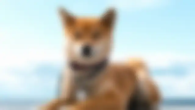 wallpaperX