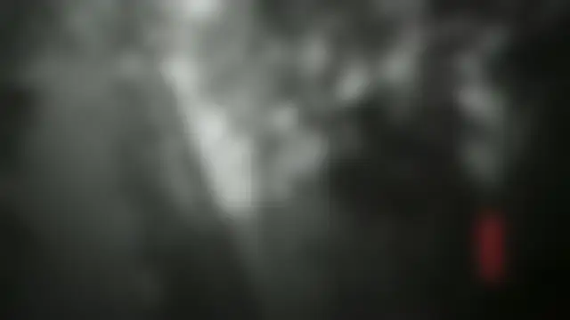 Wukong - Silver Bamboo