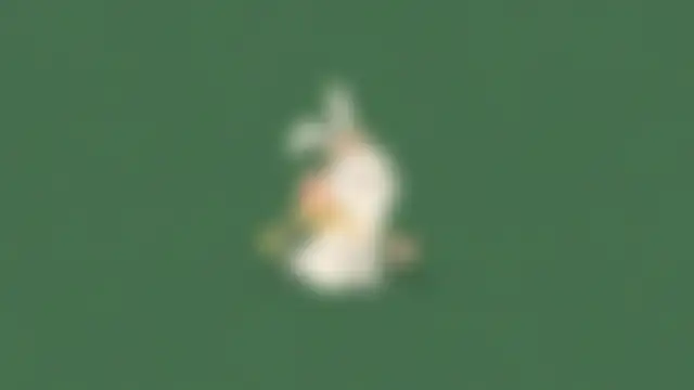 wallpaperX