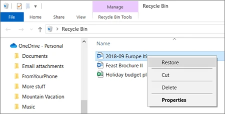 restore-from-the-OneDrive-Recycle-Bin.webp