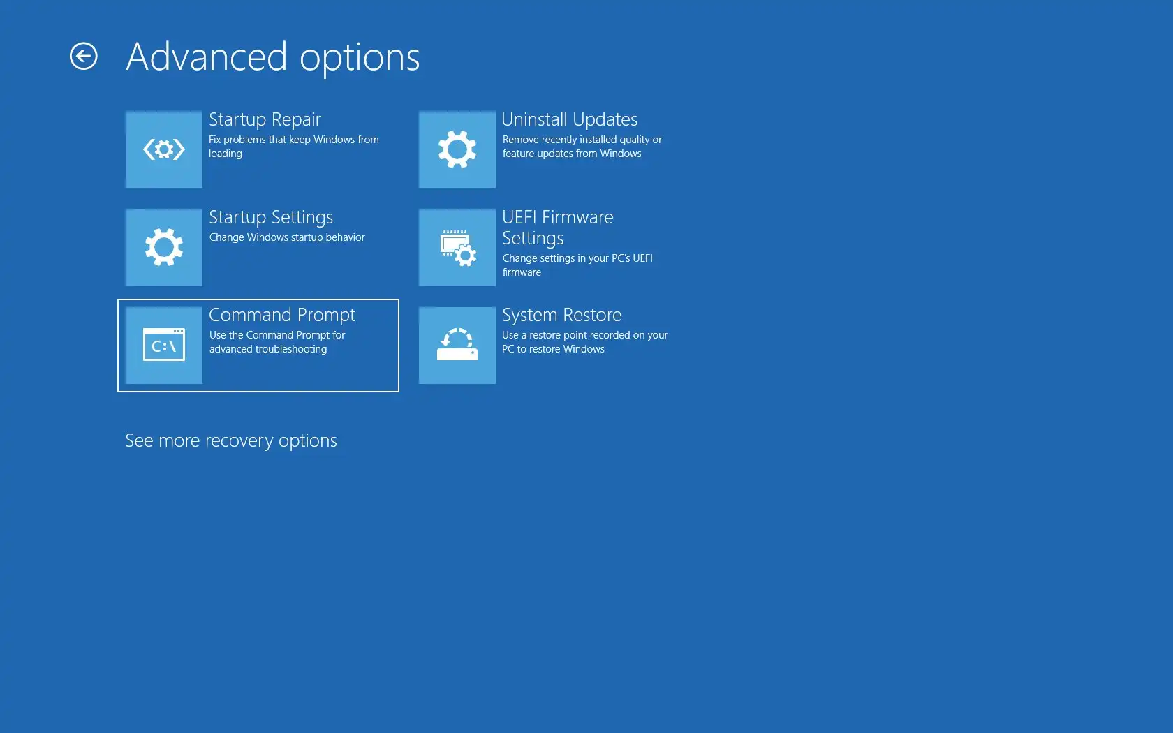 Windows Recovery Environment Advanced Options