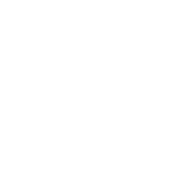 Screen Rec_img
